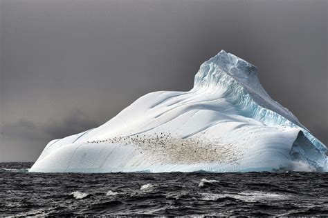 Arctic Iceberg Sea Nature Penguins Wallpapers Hd
