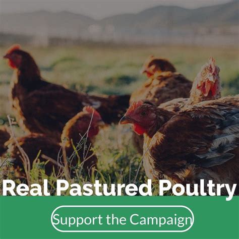 Pastured Poultry Marketing Campaign Types Of Poultry Types Of Soil
