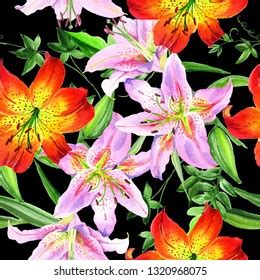 Watercolor Lily Flower Floral Botanical Flower Stock Illustration