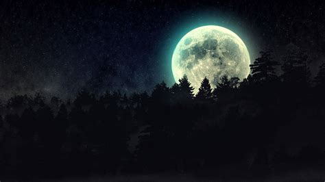 Full Moon Starry Dark Sky Behind Trees Forest Hd Moon Wallpapers Hd