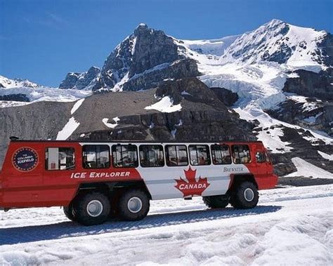 The 10 Best Calgary Bus Tours Updated 2023 Tripadvisor