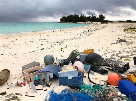 Pacific Bird Refuge Struggles As Ocean Garbage Patch Grows The