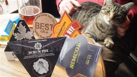 The Pub Full Of Cats Bringing Feline Fans To Bristol Cats Cat Cafe