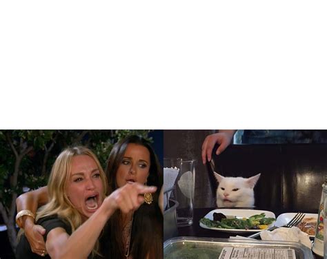 Woman Yelling At Cat Meme Template
