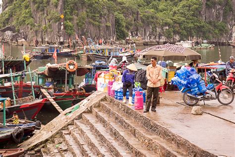 The mumbai fish market is an interesting place to visit especially with so much chaos, varieties of fish, fisherwomen and bargaining going around. The Fish Market of Ha Long and Wharves | Hanoi For 91 Days