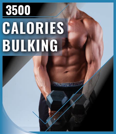3500 Calorie Workout Plan