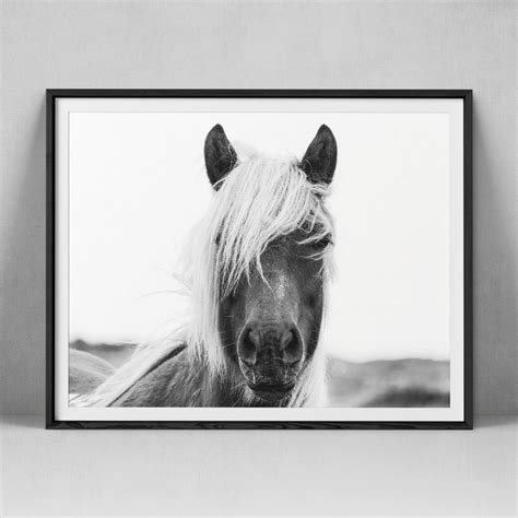 Black And White Horse Print Horse Wall Art Animal Poster Etsy
