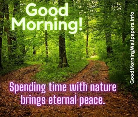 Good Morning Forest Images Hd Forest Quotes 2023