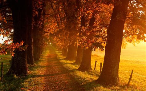 Fall Scenery Wallpapers 58 Images