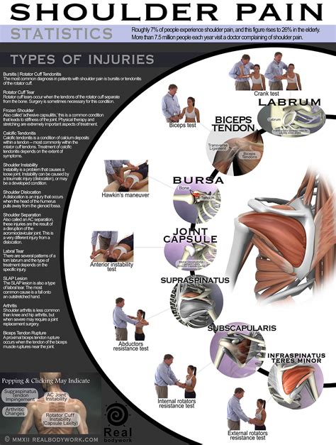 Shoulder tendonitis, also known as rotator cuff tendonitis, is an inflammation of the rotator cuff muscles in the shoulder. Shoulder Pain poster - Real Bodywork