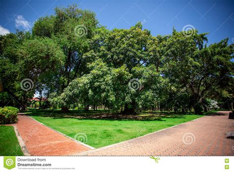Parks Green Areas To The Public Stock Photo Image Of Calm Botany