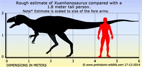 Xuanhanosaurus Alchetron The Free Social Encyclopedia