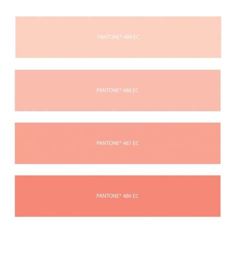 Peach is a color that is named for the pale color of the interior flesh of the peach fruit. 024ba10c007ef9a0c165c30f8bab6d9e.jpg (591×634) | Coral ...