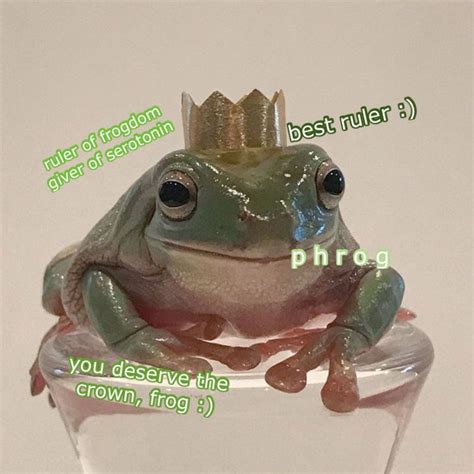 Pin By Kat On ˋˏ Frog Time ˎˊ Frog Pictures Frog Meme Cute
