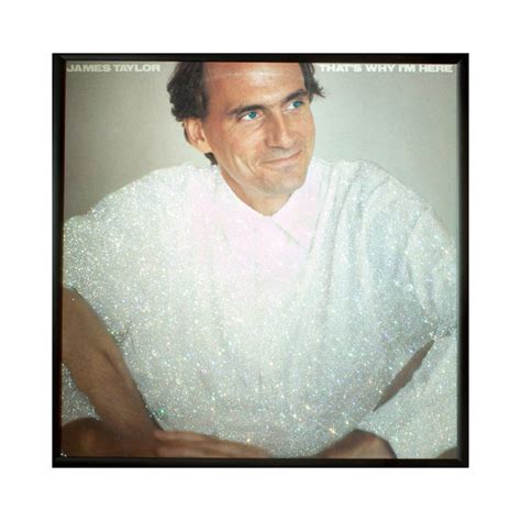 glittered james taylor that s why i m here album etsy