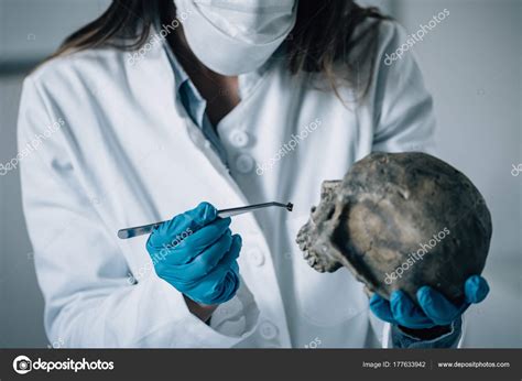 Pictures Forensic Scientists Forensic Science Lab Forensic Scientist