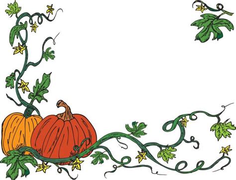 Pumpkin Vine Drawing Clip Art Vector Images And Illustrations Istock