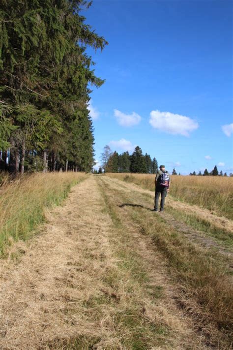 Durchs Hohe Venn Zu Kaiser Karls Bettstatt Leider Abgesagt