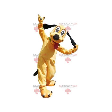 Goofy Mascot And 2 Pluto Mascots Disney Sizes L 175 180cm