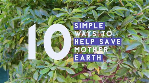 10 Simple Ways To Help Save Mother Earth Youtube