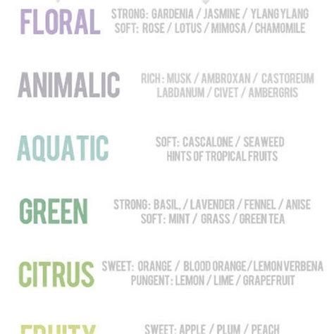 Beauty Infographics That Will Teach You How To Do Everything