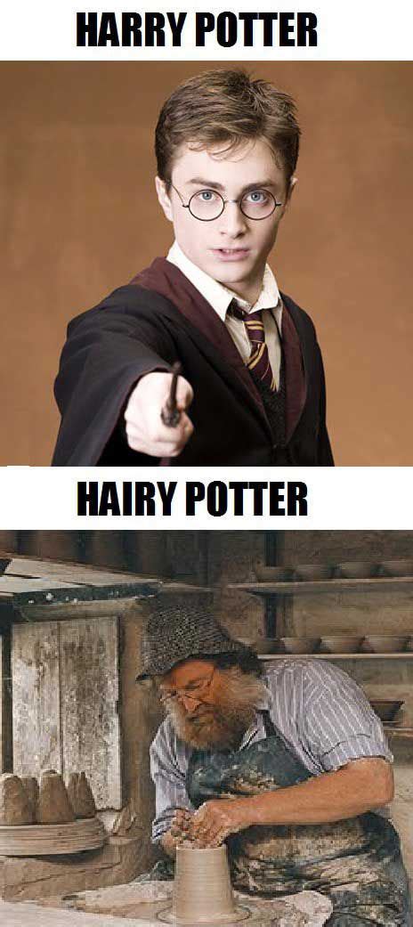 Harry Potter V Hairy Potter Know The Difference Harry Potter Harry