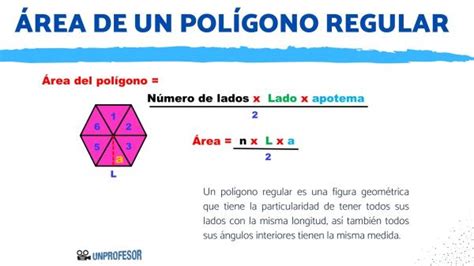 Área De Un Polígono Regular Con Ejemplos Y Ejercicios Resueltos