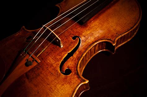 Goffriller Violin Color Photograph By Sam Hymas