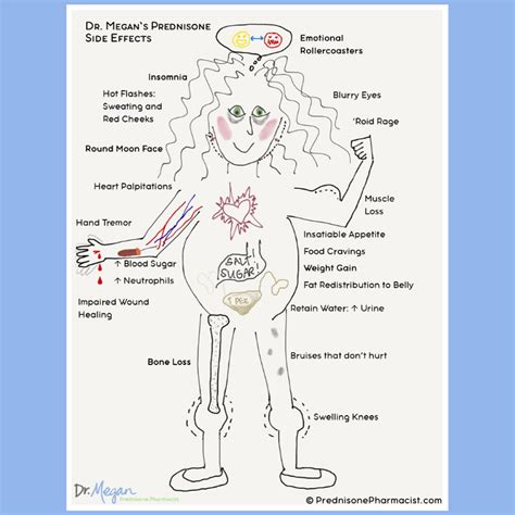 Prednisone Side Effects The Ultimate List Dr Megan Prednisone