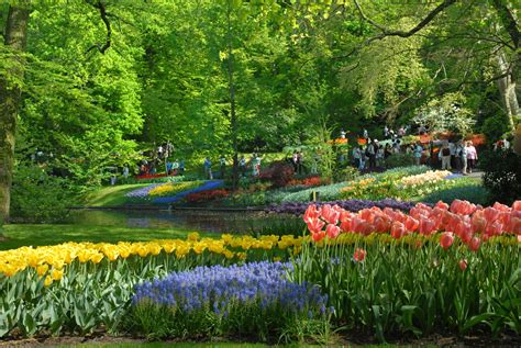 Colorful Keukenhof Gardens Holland World For Travel