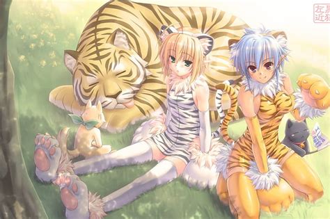 Anime Tiger Girl Telegraph