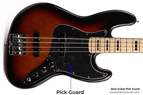 Parts Of Bass Guitar A Complete Guide Phamox Music