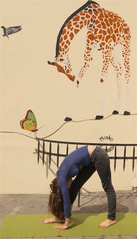 Giraffe Pose And Butterfly 3d Street Art Street Art Poses