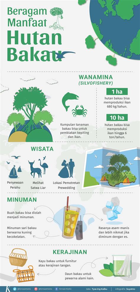 Infografis Penyebab Kerusakan Hutan Tokopresentasi Com Riset