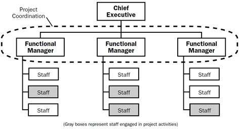 Functional Organizational Structure