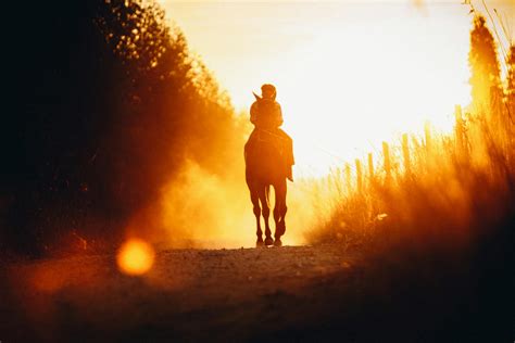 Unrecognizable Equestrian Riding Horse In Countryside During Sunset