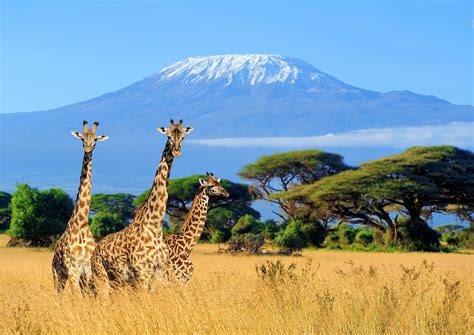 Mount Kilimanjaro Worldatlas