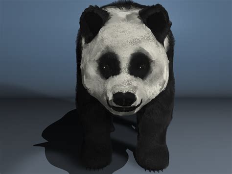 Panda Bear C4d