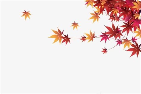 Autumn Maple Leaf PNG - autumn, autumn clipart, autumn clipart, leaf, leaf clipart | Leaf ...