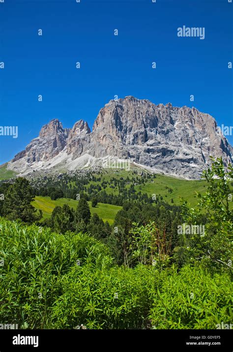 Sassolungo Massif From Sella Pass Dolomites Italy Stock Photo Alamy