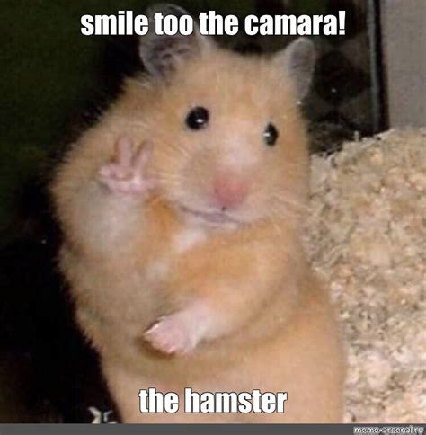 Create Meme Photo Hamster Meme Hamster Hamster Pictures Meme