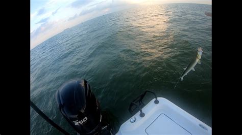Fishing Trip To Galveston Tx Youtube