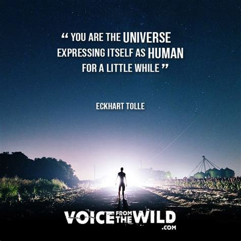 By clicking on submit below, you are certifying the following statements: "You are the universe expressing itself as a human for a ...