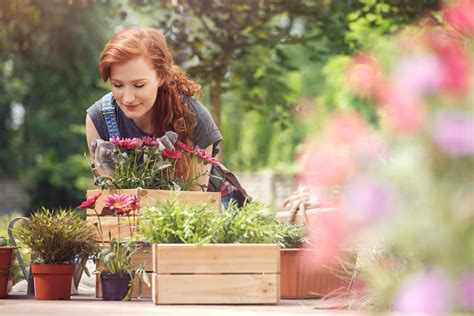 Are there any environmental benefits of gardening? It reduces stress and makes you lose weight: the 7 ...