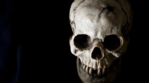 Cool Skulls Wallpapers 53 Images
