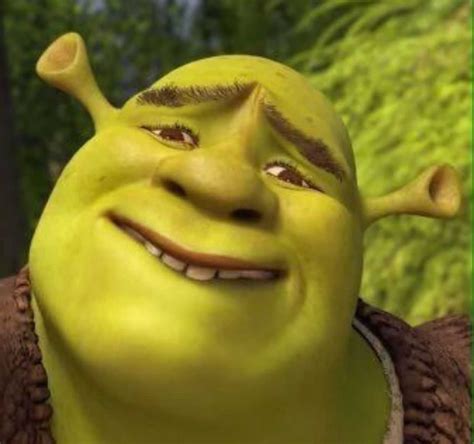 Shrek Meme Face Discover More Interesting Animation Anime Animeted