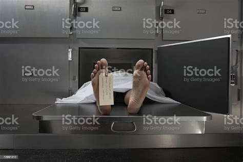 Photo Libre De Droit De Cadaver Sur Autopsie Table Étiquette Nouée À