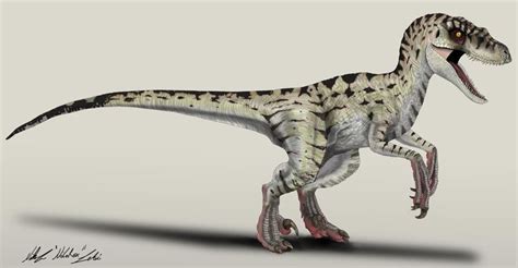Jurassic Park Velociraptor Female By Nikorex On Deviantart