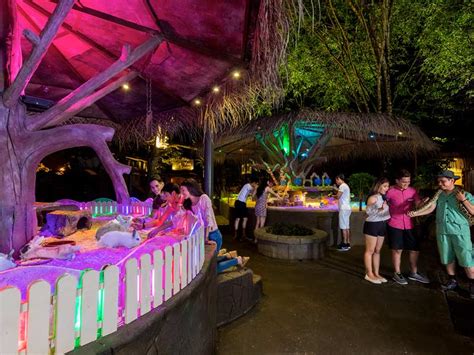 Get best deal lost world of tambun entrance ticket (amusement park, water park, tiger valley, petting zoo, tin valley, hot springs & spa, lupe's adventure). Lost World Hot Springs Night Park - Lost World Of Tambun
