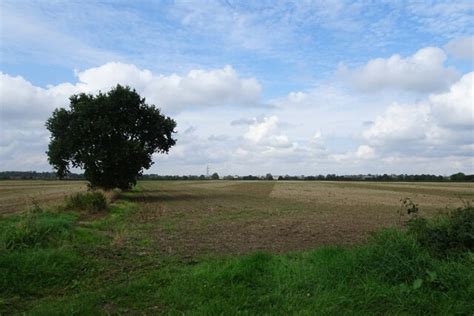 Field Boundary Beside Common Lane DS Pugh Cc By Sa 2 0 Geograph